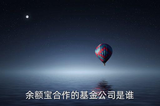 余額寶投資過什么公司，余額寶合作的基金公司是誰