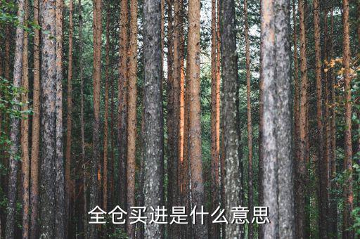 全倉買入是什么意思，掛高全倉買入什么意思