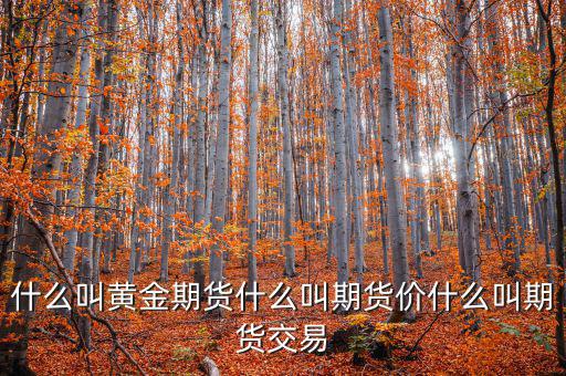 什么是期貨價(jià)，什么叫黃金期貨什么叫期貨價(jià)什么叫期貨交易