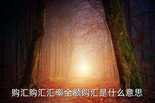 全額匯購是什么意思，什么叫全額結(jié)匯