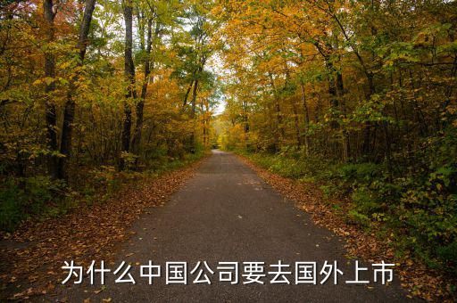中國企業(yè)為什么要在境外上市，為什么有公司要到境外上市