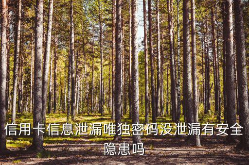 信用卡信息泄露有什么風(fēng)險，信用卡信息泄漏唯獨(dú)密碼沒泄漏有安全隱患嗎
