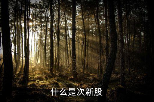 什么叫次新股，什么是次新股
