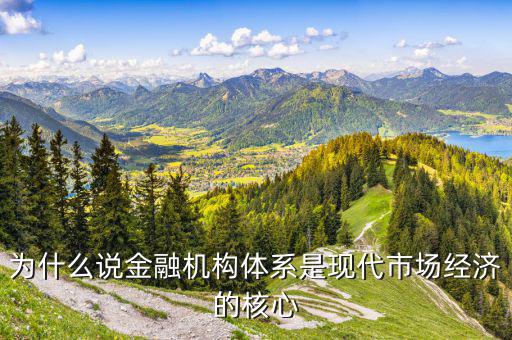 為什么金融是現(xiàn)代經(jīng)濟(jì)的核心，你是如何理解金融是現(xiàn)代經(jīng)濟(jì)的核心這個論斷的