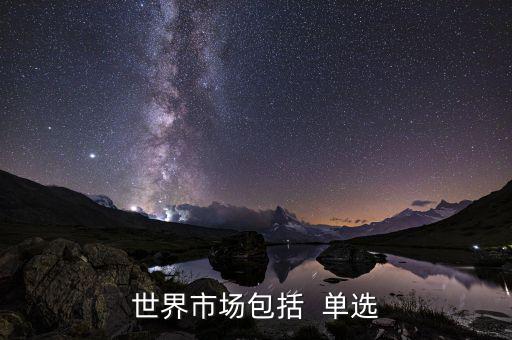 世界市場(chǎng)包括什么，世界上分哪些市場(chǎng)