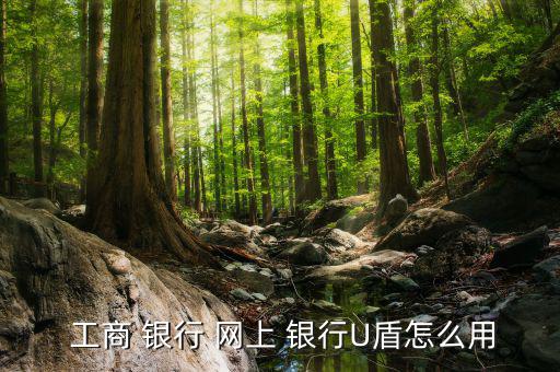  工商 銀行 網上 銀行U盾怎么用