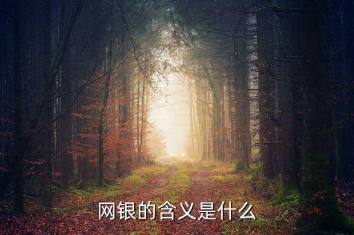 網(wǎng)銀存入代表什么意思，網(wǎng)銀的含義是什么
