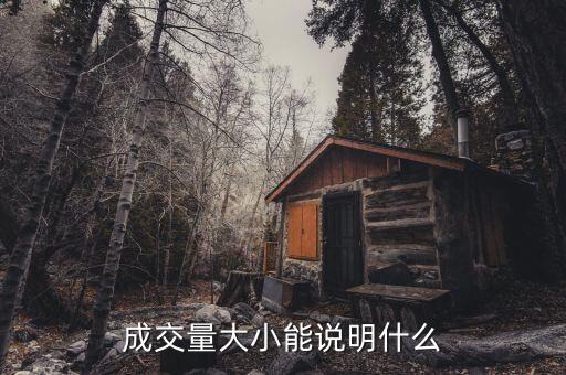 股票成交量大說明什么，股票中成交量多代表了什么有誰知道