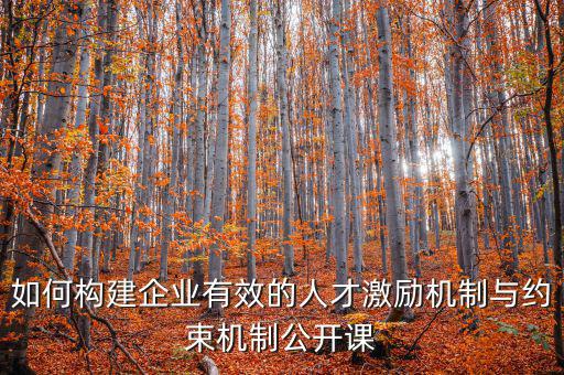 財務激勵與約束機制的設計原則是什么，財務激勵約束機制的概念是什么