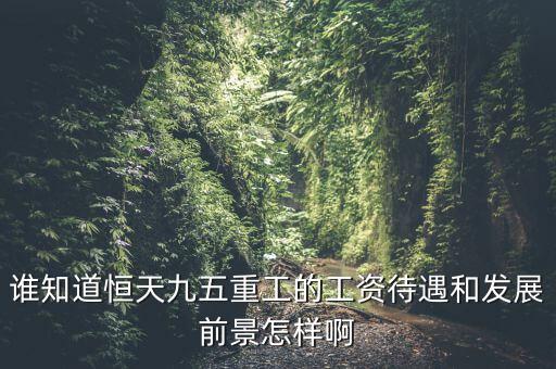 恒天九五什么時(shí)候上市，誰知道恒天九五重工的工資待遇和發(fā)展前景怎樣啊