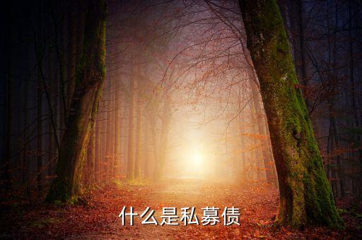 什么是小貸公司私募債，什么是私募債