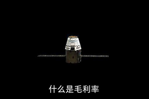 毛利率是什么，毛利率是什么意思