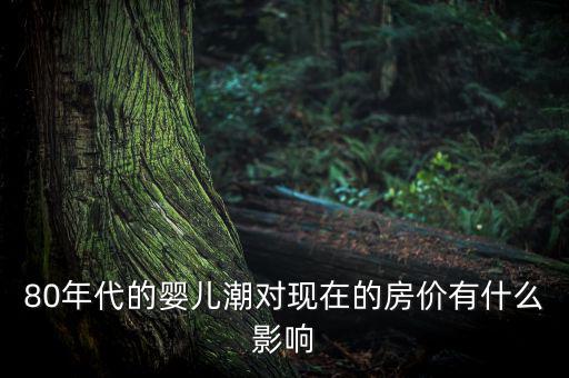 嬰兒潮會催生什么產(chǎn)業(yè)，80年代的嬰兒潮對現(xiàn)在的房價有什么影響