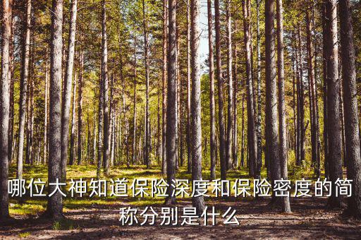 什么叫保險(xiǎn)密度，保險(xiǎn)深度與密度是什么