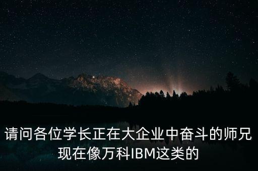 請(qǐng)問各位學(xué)長(zhǎng)正在大企業(yè)中奮斗的師兄現(xiàn)在像萬科IBM這類的