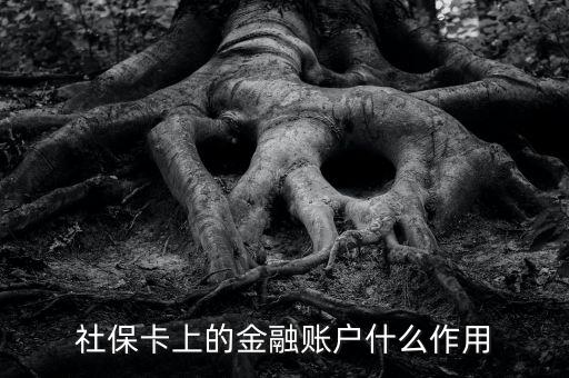 社?？ㄉ系慕鹑谫~戶什么作用
