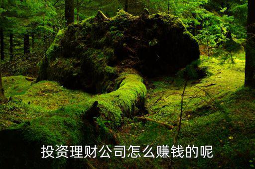 財(cái)牛投資靠什么賺錢，投資理財(cái)公司靠什么賺錢
