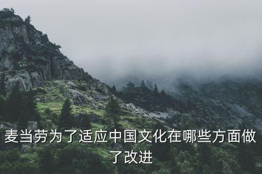 麥當(dāng)勞中國的愿景是什么，麥當(dāng)勞為了適應(yīng)中國文化在哪些方面做了改進(jìn)