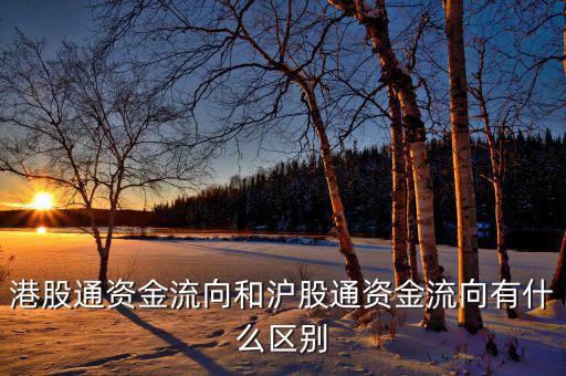 港股通風(fēng)控資金是什么，港股通資金流向和滬股通資金流向有什么區(qū)別