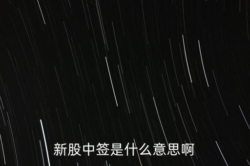 中簽號什么意思，新股的中簽號在哪里查詢呀