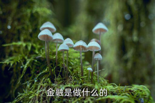 中國(guó)29金融是干什么的，金融是干什么的