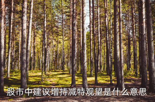 股票建議增持什么意思，股市中建議增持減特觀望是什么意思
