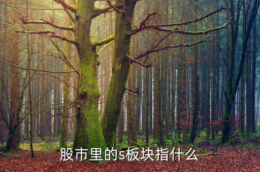 s佳通的s什么意思，橡膠概念的股票有哪些