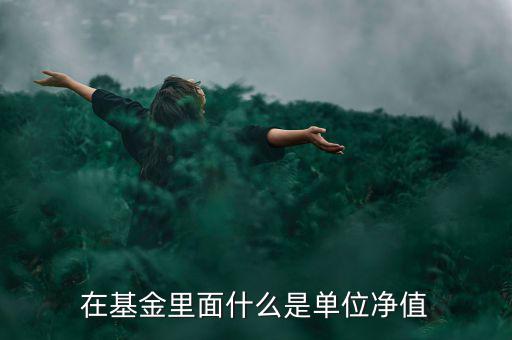 什么是基金單位凈值，基金單位凈值是什么意思