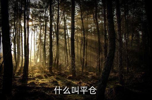 斬倉是什么，什么叫平倉