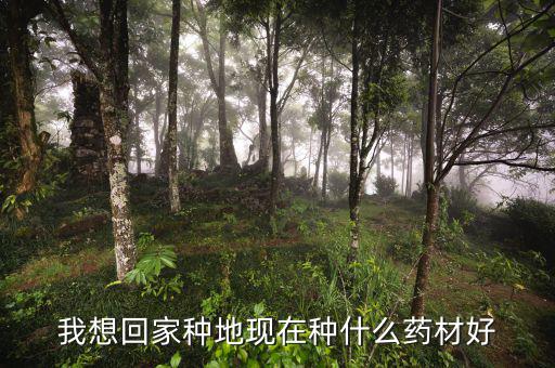 減地種什么藥財(cái)好，那位老板推薦下山地適合種什么藥材啊 耐旱收益快的最好  問