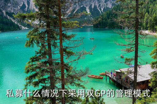 雙gp基金是什么，私募什么情況下采用雙GP的管理模式