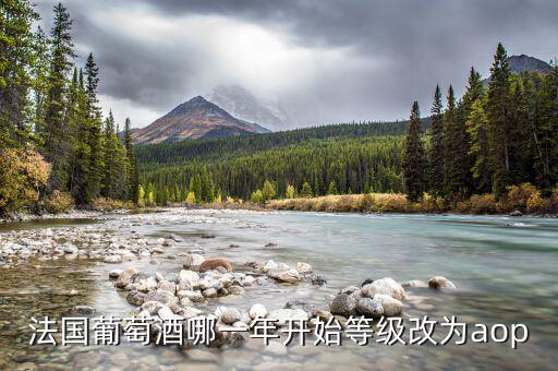 法國發(fā)生什么改革，法國葡萄酒哪一年開始等級(jí)改為aop