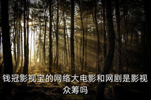 張棟偉為什么離開眾籌網，紫蒙軒網站是真的可以看新的嗎