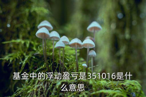 基金的浮動盈虧是什么意思，基金中的浮動盈虧是351016是什么意思