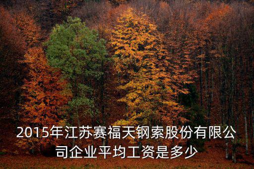 賽福天是什么公司，2015年江蘇賽福天鋼索股份有限公司企業(yè)平均工資是多少