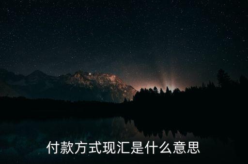 現(xiàn)匯金額是什么意思，招行自動還款中現(xiàn)匯是什么意思
