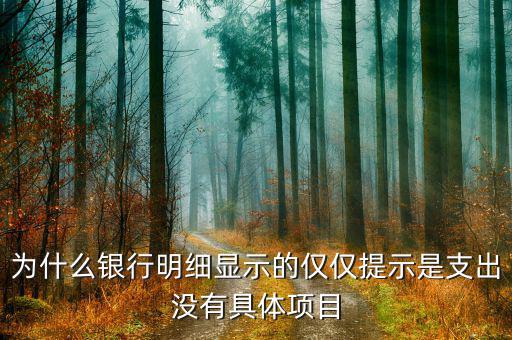 九州證券沒有什么項(xiàng)目，為什么銀行明細(xì)顯示的僅僅提示是支出沒有具體項(xiàng)目