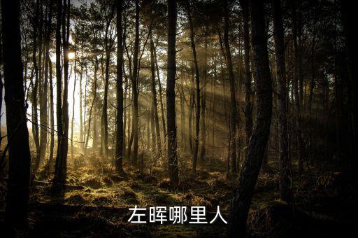 左暉靠什么起家，左暉與左東華什么關(guān)系