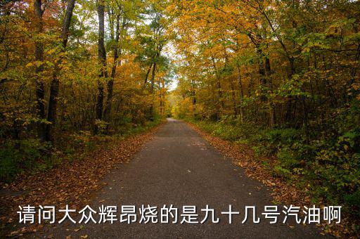 什么車燒90號(hào)汽油，請(qǐng)問大眾輝昂燒的是九十幾號(hào)汽油啊