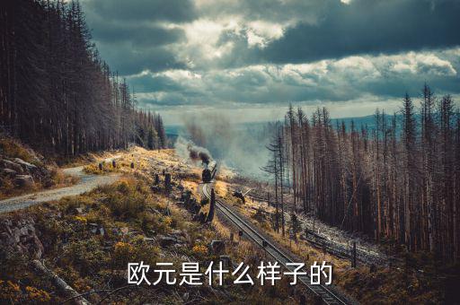 500面值似的歐元是什么樣的，500歐元是什么樣子的價值人民幣是多少大神們幫幫忙