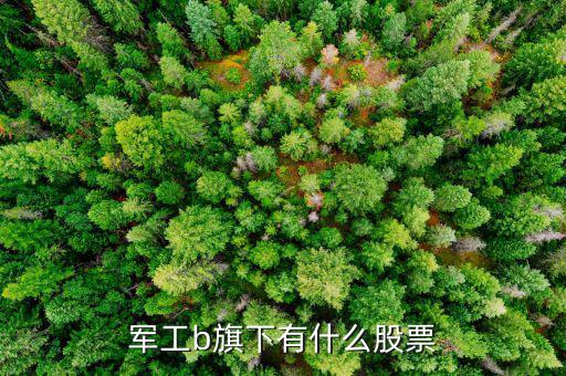 軍工b屬于什么股票，軍工b旗下有什么股票