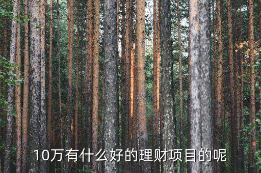 10萬做什么理財好，10萬有什么好的理財項目的呢