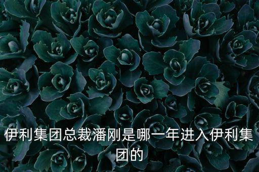 潘剛什么背景，潘剛是哪里人啊