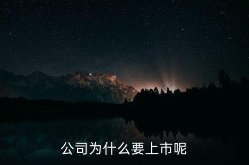 公司為什么上市，公司為什么要上市呢