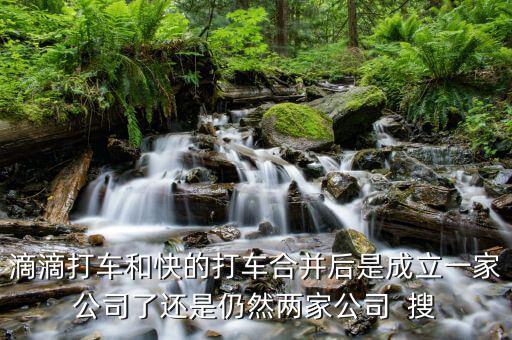 滴滴快的合并后叫什么，滴滴打車和快的打車合并后是成立一家公司了還是仍然兩家公司  搜