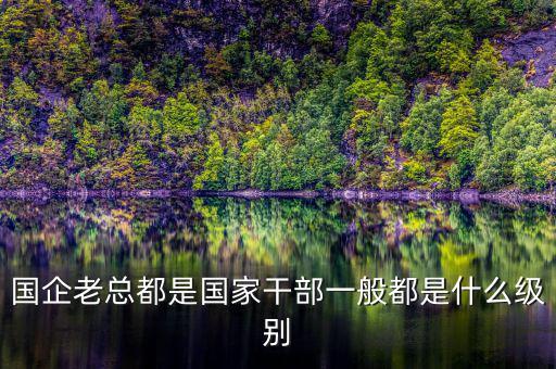 中交地產(chǎn)總經(jīng)理屬于什么級(jí)別干部，國(guó)企老總都是國(guó)家干部一般都是什么級(jí)別