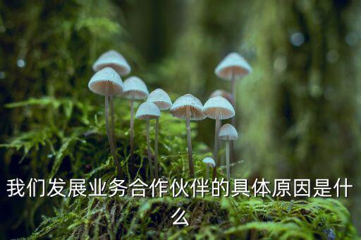 為什么要發(fā)展同業(yè)業(yè)務(wù)，匯付天下之前說要大力發(fā)展同業(yè)業(yè)務(wù)同業(yè)業(yè)務(wù)指的是甚么