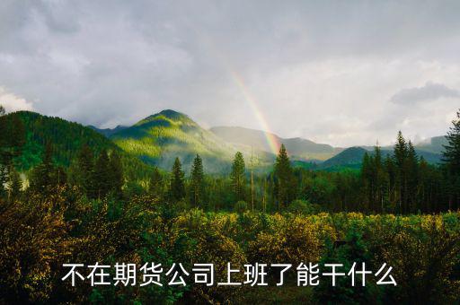 去期貨公司能做什么，本人去某期貨公司總部適合做什么