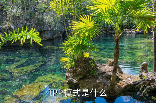 tpp什么時候生效，TPP文件時什么東西