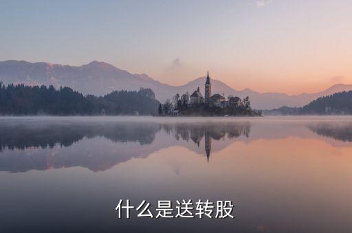 什么叫送股，什么是送轉(zhuǎn)股